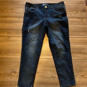 Democracy an solution size 14